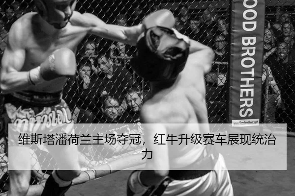wei-si-ta-pan-he-lan-zhu-chang-duo-guan-hong-niu-sheng-ji-sai-che-zhan-xian-tong-zhi-li-3-291.jpg