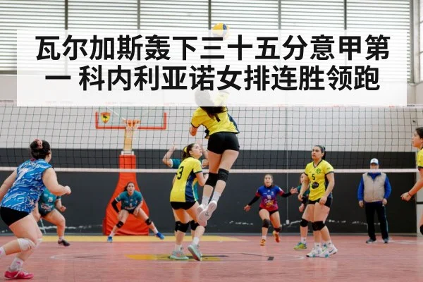 volleyball match action